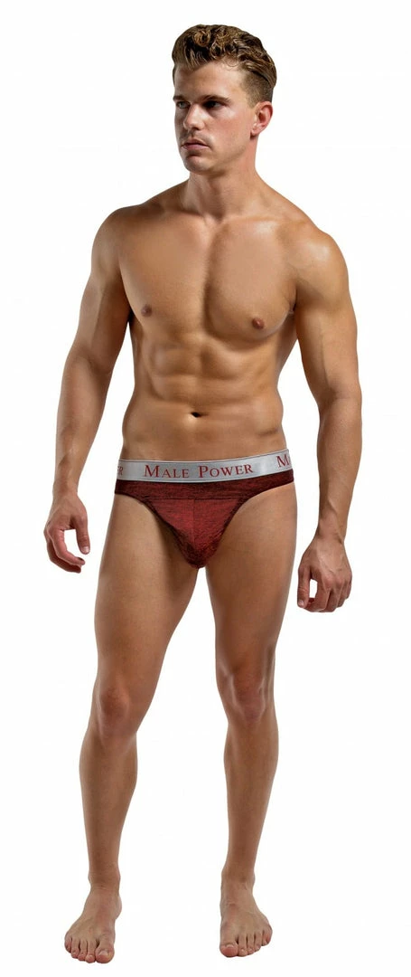 Romance Boutique Secrets Lingerie Panel Thong