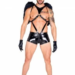 Romance Boutique Secrets Costumes DARK ANGEL