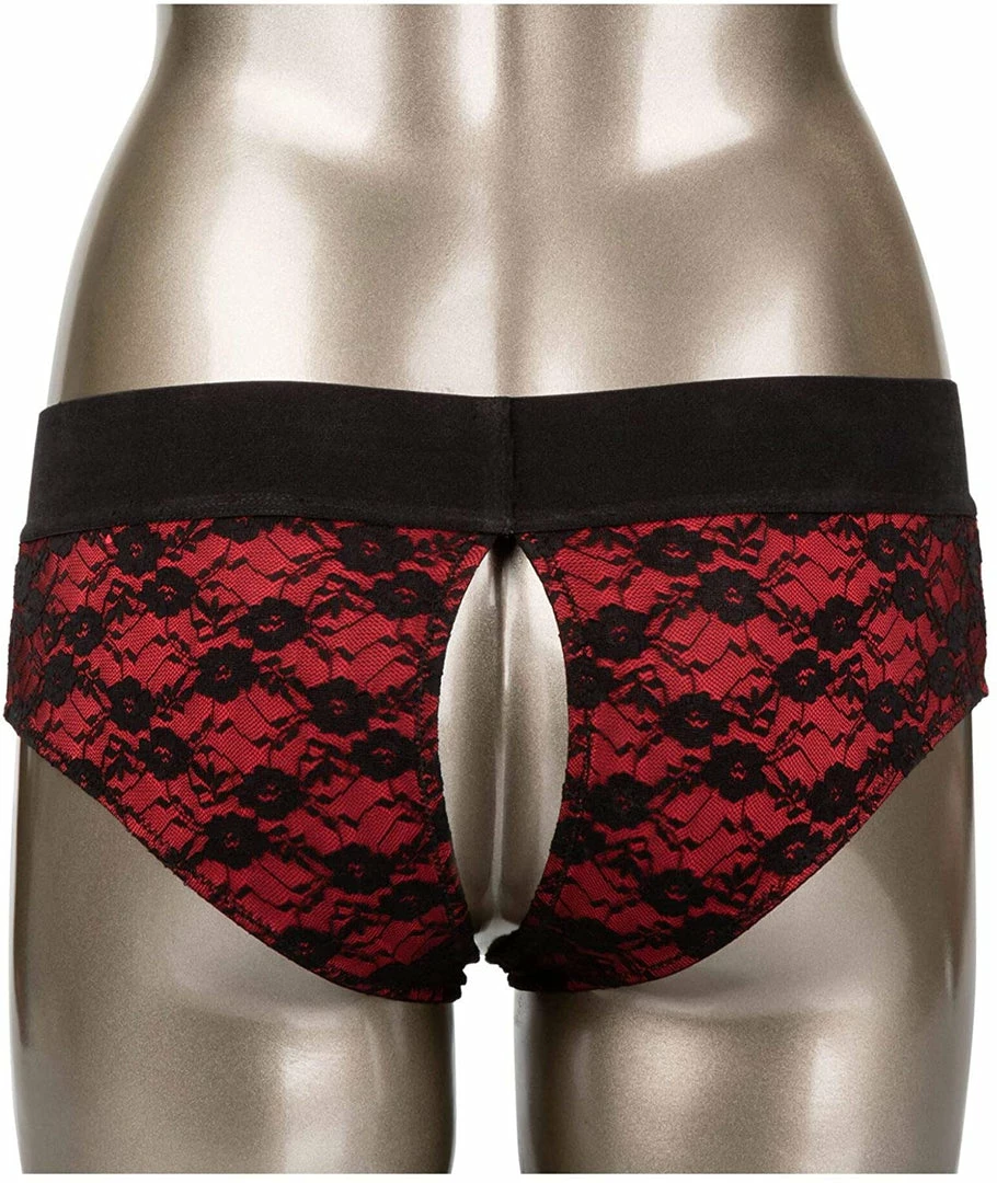 Romance Boutique Secrets SCANDAL Crotchless Pegging Panty Set Kink Collection