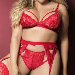 Romance Boutique Secrets Lingerie PLUS SIZE LACY ROMANCE BRA SET