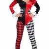 Romance Boutique Secrets VILLAINOUS VIXEN COSTUME