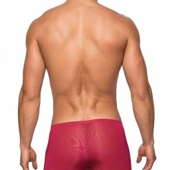 Romance Boutique Secrets Lingerie Seamless Sleek Short W/sheer Pouch