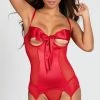 Romance Boutique Secrets ALL WRAPPED UP BUSTIER Lingerie