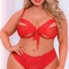 Romance Boutique Secrets Lingerie PLUS SIZE CLARA BOW BRA SET