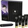 Romance Boutique Secrets Shunga Naughty Geisha Kit Bedroom Toys